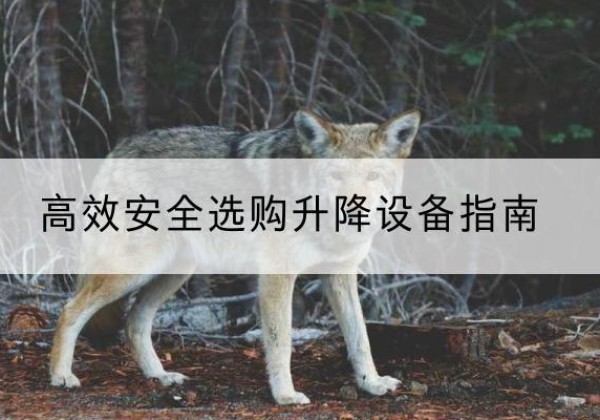 丰城升降货梯厂家推荐-*安全选购升降设备指南