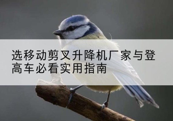 丰城电动升降机厂家-选移动剪叉升降机厂家与登高车必看实用指南