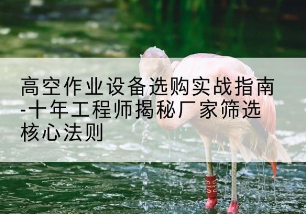 丰城剪叉式升降机厂家-高空作业设备选购实战指南-十年工程师揭秘厂家筛选核心法则